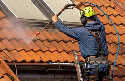 Démoussage et hydrofuge de toiture à Bourg